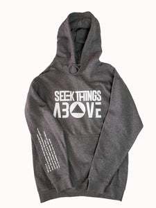 Seek things Above grey hoodie