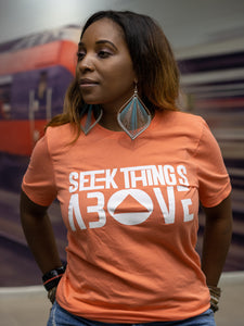 Seek Things Above Coral Tee