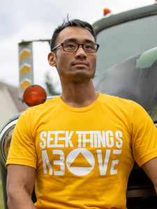 Seek things above Gold Tee