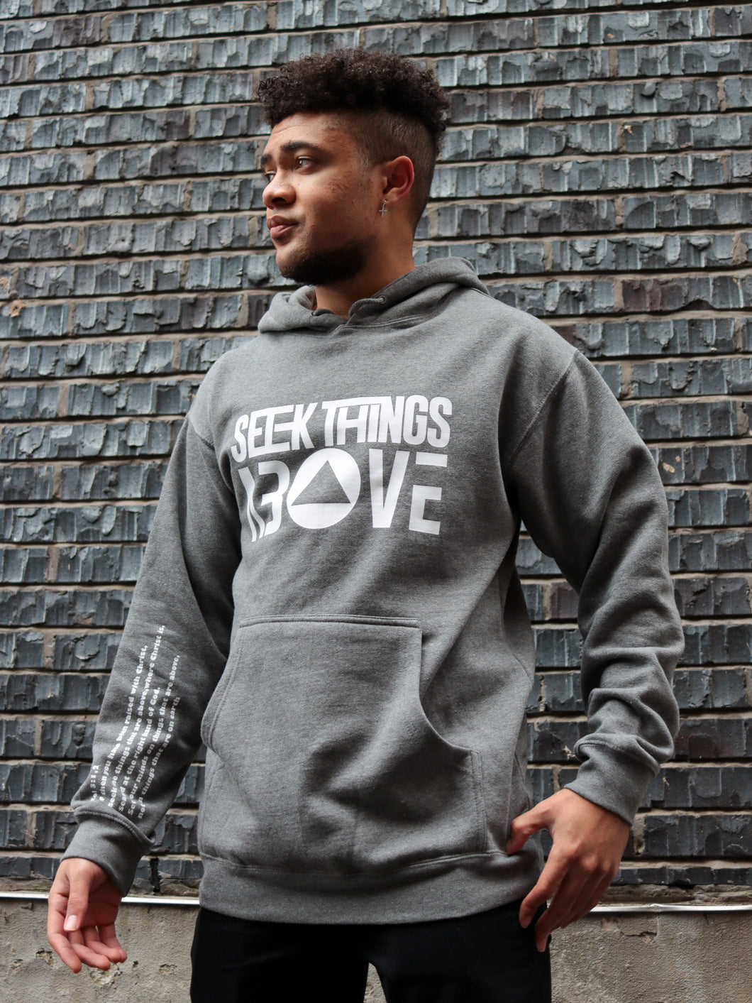 Seek things Above grey hoodie